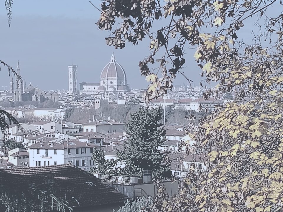 typical architecture landscape italy florence